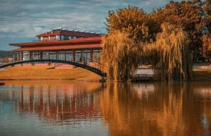 un pont sur une masse d'eau avec un bâtiment dans l'établissement Ambassadori kachreti Golf Resort, Villa 10, à Stantsiya Kachreti