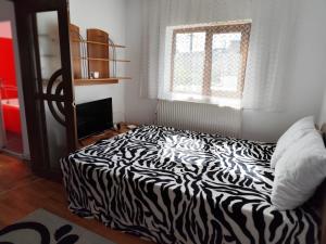 Fotografie z fotogalerie ubytování Nomada v destinaci Curtea de Argeş