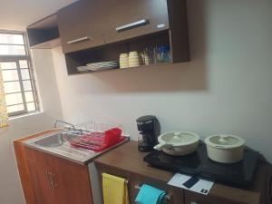 Η κουζίνα ή μικρή κουζίνα στο Sanem 301 +12 φωτογραφίες