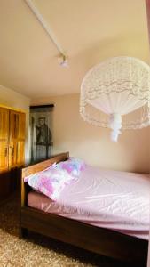 een slaapkamer met een bed met een kroonluchter erboven bij Minerva Apart in Ranomafana