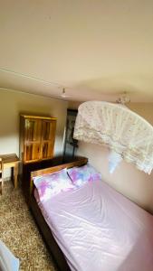 een slaapkamer met een bed met een net aan de muur bij Minerva Apart in Ranomafana +2 foto's