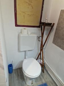 ein Bad mit einem WC und einem Wandgemälde in der Unterkunft B&B La Riva del Po in Turin