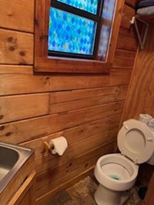 ein Badezimmer mit Toilette und Waschbecken und einem Fenster in der Unterkunft Lovely Rustic Cabin Secluded in the Woods near Maggie Valley, North Carolina in Cherokee