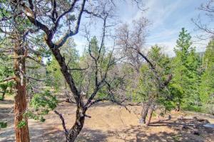 Peisaj natural din apropierea acestei case de vacanță