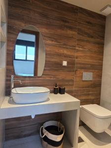 a bathroom with a sink and a mirror and a toilet at Rastoni Sea View Studio with Shared Pool in Melíssion +11 photos