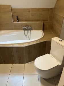 Phòng tắm tại Apartmán Niky u Klínovce +8 ảnh