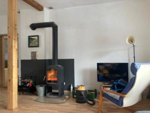 TV/trung tâm giải trí tại Apartmán Niky u Klínovce