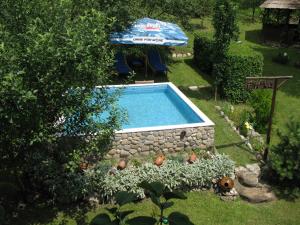 a swimming pool in a yard with an umbrella at Casa Rustica Oltenia in Băile Govora