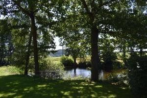 Příroda nedaleko motelu