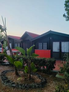 une maison avec un jardin devant dans l'établissement Casa Vacanze Vaccarizzo - Vaccarizzo Beach Garden, à Vaccarizzo - Delfino