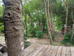 a tree with a wooden deck in the woods at Morocha in Estación Costa Azul