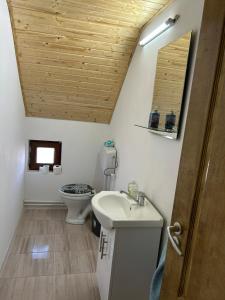 Koupelna v ubytování Cabana Bradu Moșului