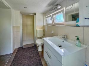 une salle de bain avec un lavabo blanc et des toilettes dans l'établissement Am Arnsberg, à Unterschönau 27 autres photos