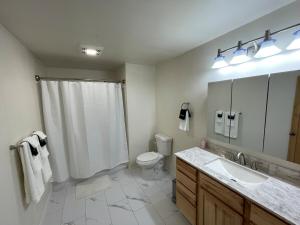 un bagno con doccia, WC e lavandino di Northern Lights Getaway! a North Pole Altre 28 foto