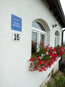Fotografie z fotogalerie ubytování Apartments Žegarac House v destinaci Korenica