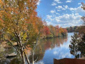 a river in the fall with trees on the side at Suite in Lakeside house in Alpharetta