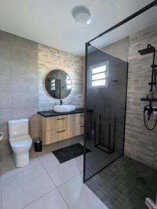 a bathroom with a toilet and a sink and a mirror at Le jamerosas in Le Tampon +6 photos