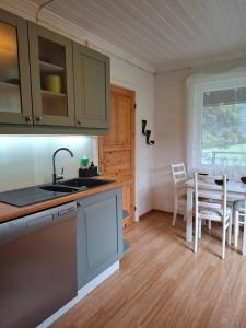 Kuchyň nebo kuchyňský kout v ubytování Super cozy family house with mountain and panoramic views