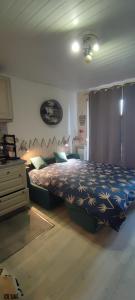 a bedroom with a bed and a dresser in it at studio Batlou ménage inclus a la pierre st Martin pyrénée in Arette