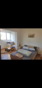 Φωτογραφία από το άλμπουμ του welcome home στην Καρκασόν