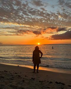 Φυσικό τοπίο κοντά σε αυτό το διαμέρισμα +9 φωτογραφίες