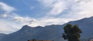a view of a mountain with a tree in the foreground at I Fiori di AminA Le Viole in Pietramelara