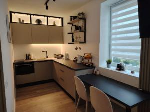a kitchen with a sink and a table with chairs at Apartman „Karolina” in Nova Gradiška