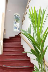 una escalera con alfombra roja y una planta en Casa del Viento 201, en Cali 1 foto más
