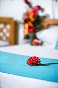 a red flower on a table with flowers in the background at Kariwak Wellness Village, Hotel and Holistic Haven in Crown Point +4 photos
