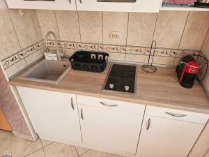a kitchen with a sink and a counter top at Apartmani Vlaovic in Herceg-Novi +25 photos