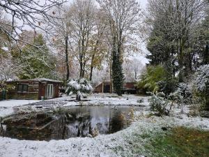 a pond in a garden with snow on the ground at Hoeve de Haan in Bellingwolde