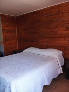 a bedroom with a white bed with wooden walls at Lodge Gabriela Mistral in Pisco Elqui