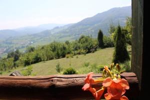 una flor en el alféizar de una ventana con vistas a una montaña en Visoko Gorani Cottage, en Visoko