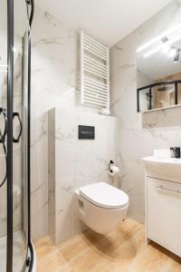 ein weißes Badezimmer mit Toilette und Dusche in der Unterkunft Raciborska Old Town in Gliwice