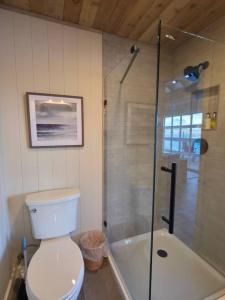 ein Badezimmer mit Toilette und Dusche in der Unterkunft Beachfront cabin, dock, water views in Point White