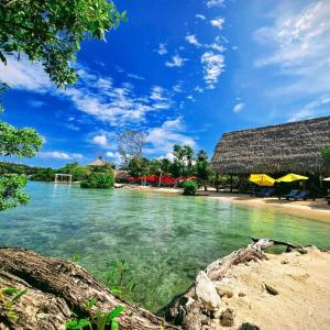 Příroda nedaleko vily