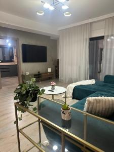 TV/trung tâm giải trí tại SKY Apartment Craiova
