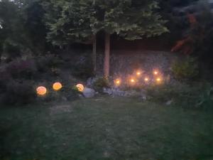 un jardín por la noche con luces en el césped en Ferienwohnung Idyll Mit Loggia Und Garten, en Welferode