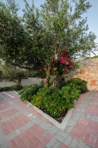a tree with pink flowers next to a stone wall at Sirocco in Kissamos