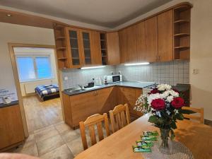 Η κουζίνα ή μικρή κουζίνα στο Apartment Stejskalova