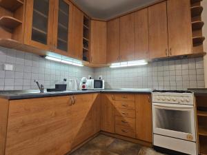 Η κουζίνα ή μικρή κουζίνα στο Apartment Stejskalova