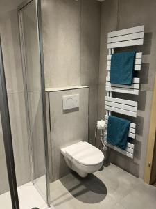 卡普伦Appartement 16 - Haus Voglreiter的浴室设有卫生间和带蓝色毛巾的淋浴。 更多5张照片