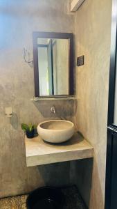 a bathroom with a sink and a mirror at Homestead Villa-Polwatta in Welihinda