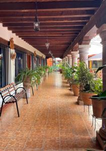 a covered walkway with benches and potted plants at hotel gardenias in Pátzcuaro +5 photos