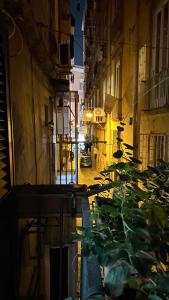 an alley in an old city at night at Ginevra house in Naples
