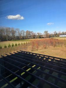 Fotografie z fotogalerie ubytování Luxurious Eastern Shore Getaway v destinaci Milton