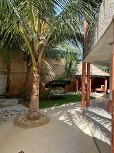 a palm tree in the middle of a courtyard at Suite privée-chambre, salon et cuisine complete in Mbour