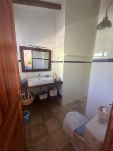 a bathroom with a sink and a toilet and a mirror at Kazatibois à Vieux Fort in Vieux-Fort +29 photos