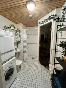 a bathroom with a toilet and a sink and a washer at Charming one-bedroom apartment in Grand House in the city center of Kokkola in Kokkola