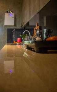 a kitchen counter with a sink and a counter top at The Kheak in Weligama